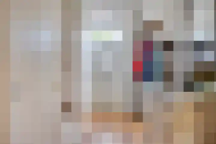 Donkeren Dijk 13 Heeswijk-Dinther thumbnail 5