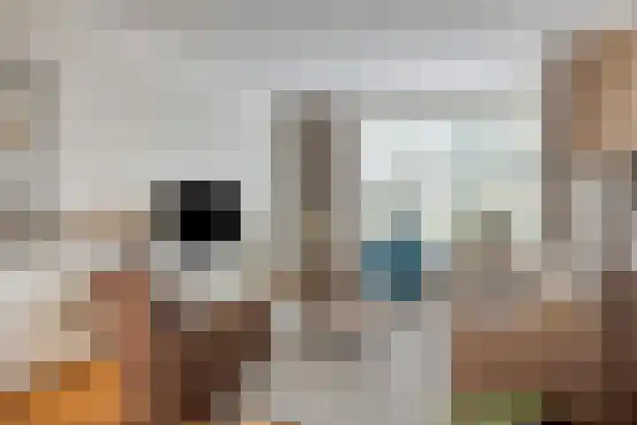 Donkeren Dijk 13 Heeswijk-Dinther thumbnail 9