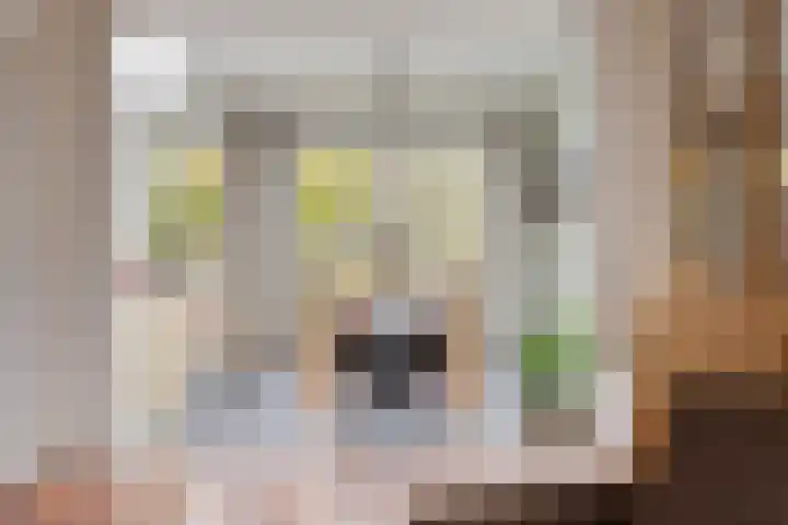 Donkeren Dijk 58 Heeswijk-Dinther thumbnail 21