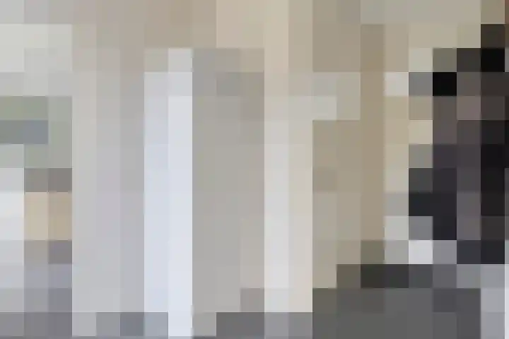 Donkeren Dijk 58 Heeswijk-Dinther thumbnail 22