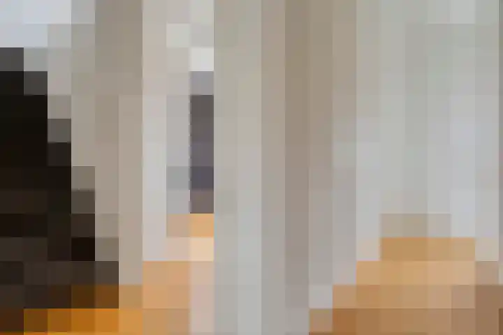Donkeren Dijk 58 Heeswijk-Dinther thumbnail 27