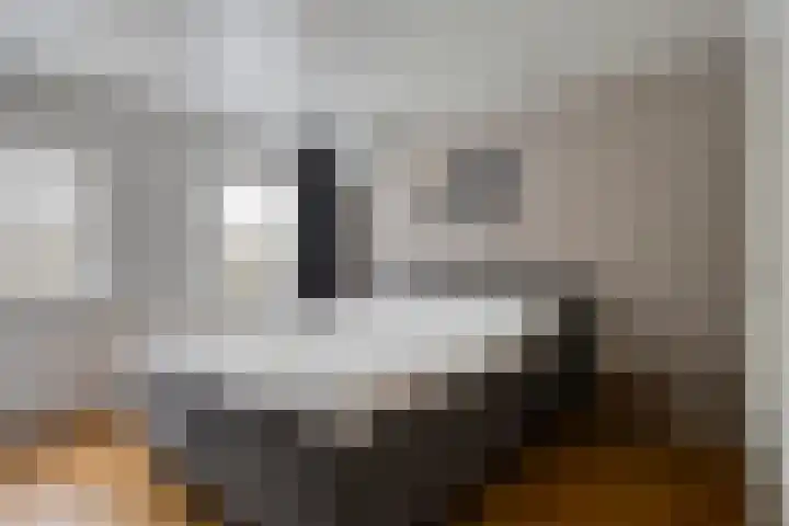 Donkeren Dijk 58 Heeswijk-Dinther thumbnail 28