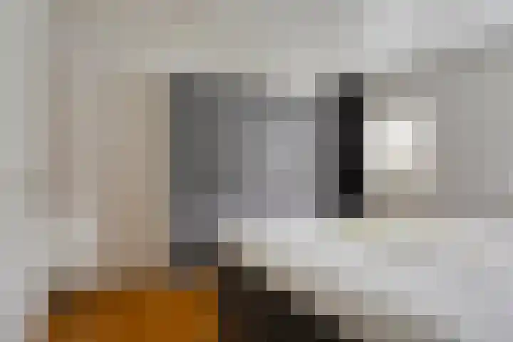Donkeren Dijk 58 Heeswijk-Dinther thumbnail 29