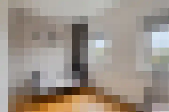 Donkeren Dijk 58 Heeswijk-Dinther thumbnail 31