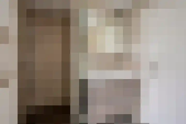 Donkeren Dijk 58 Heeswijk-Dinther thumbnail 32