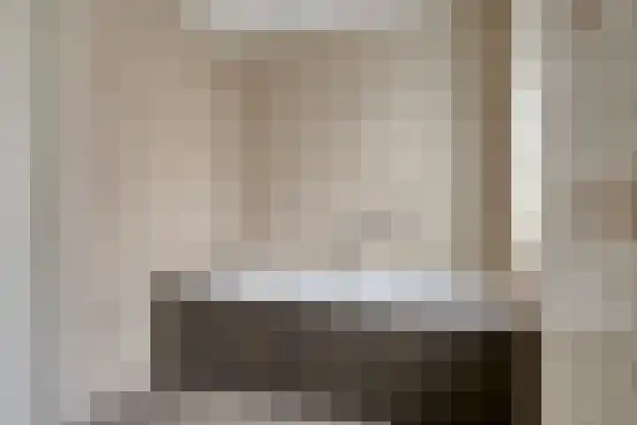 Donkeren Dijk 58 Heeswijk-Dinther thumbnail 33