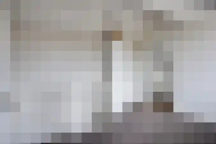 Donkeren Dijk 58 Heeswijk-Dinther thumbnail 36