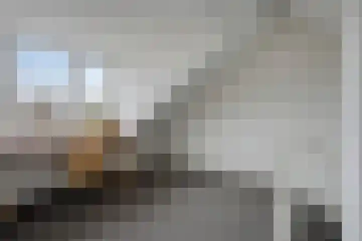 Donkeren Dijk 58 Heeswijk-Dinther thumbnail 37