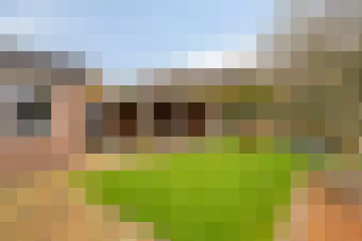 Donkeren Dijk 58 Heeswijk-Dinther thumbnail 4