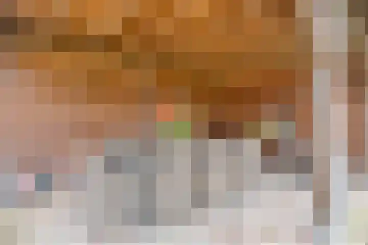 Donkeren Dijk 58 Heeswijk-Dinther thumbnail 43