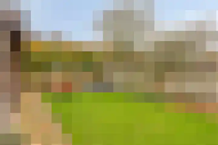Donkeren Dijk 58 Heeswijk-Dinther thumbnail 44