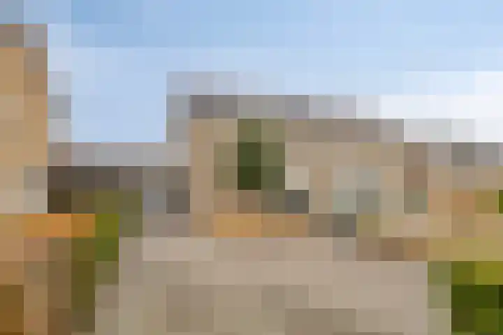 Donkeren Dijk 58 Heeswijk-Dinther thumbnail 47