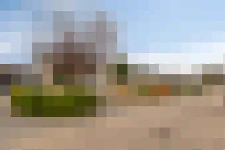 Donkeren Dijk 58 Heeswijk-Dinther thumbnail 49