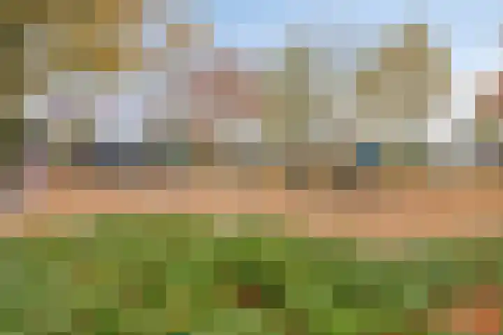 Donkeren Dijk 58 Heeswijk-Dinther thumbnail 51