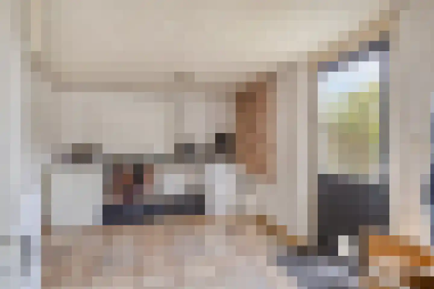 Donkeren Dijk 6 Heeswijk-Dinther thumbnail 16