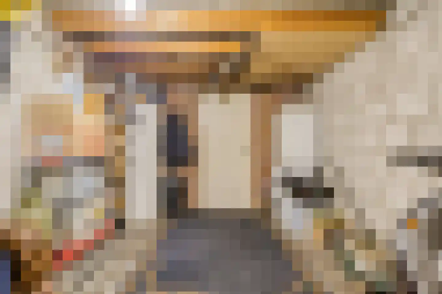 Donkeren Dijk 6 Heeswijk-Dinther thumbnail 19