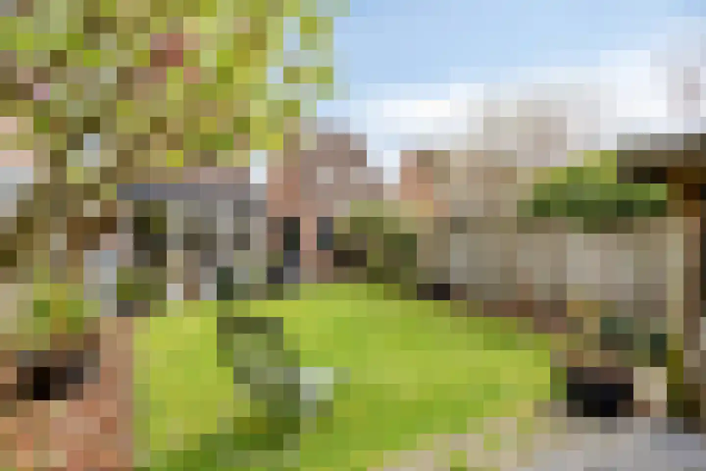 Donkeren Dijk 6 Heeswijk-Dinther foto 2