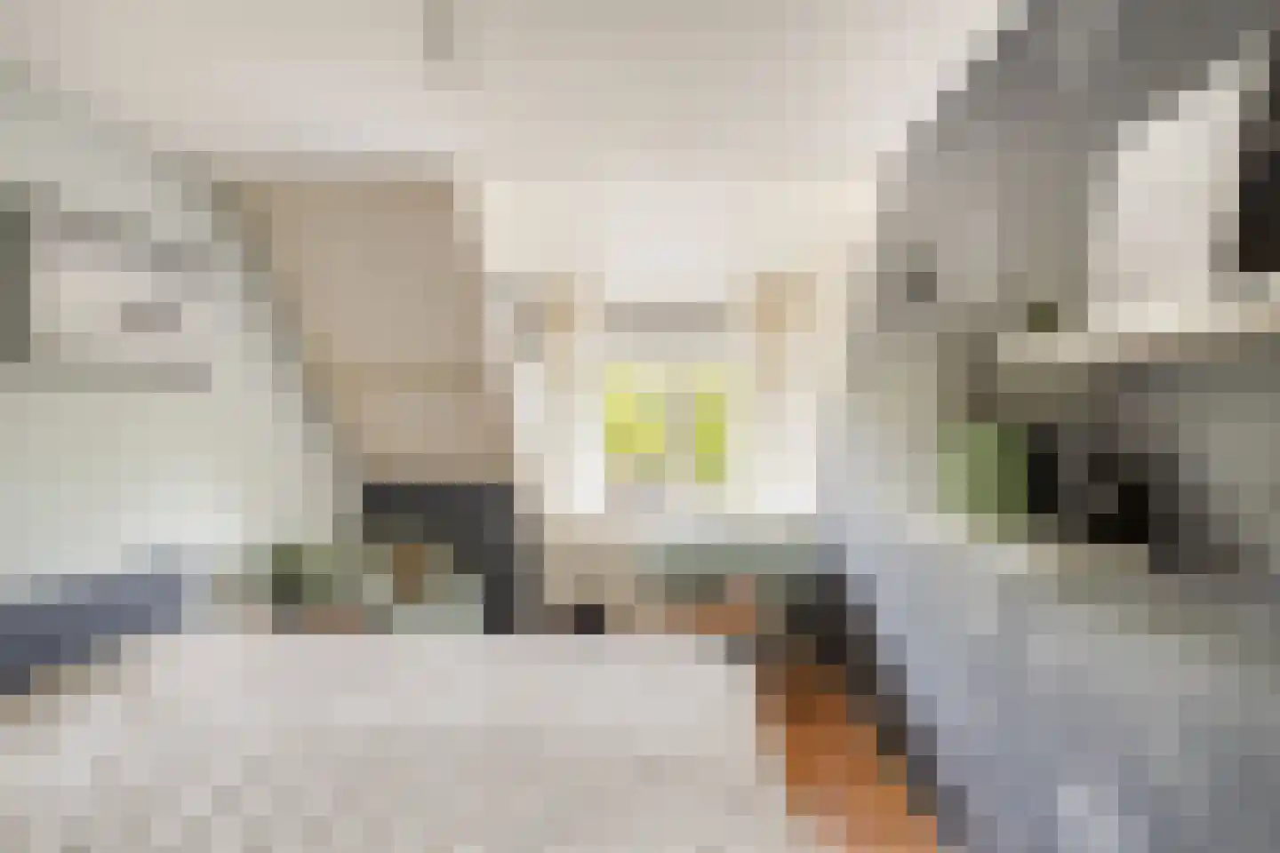 Donkeren Dijk 6 Heeswijk-Dinther thumbnail 22