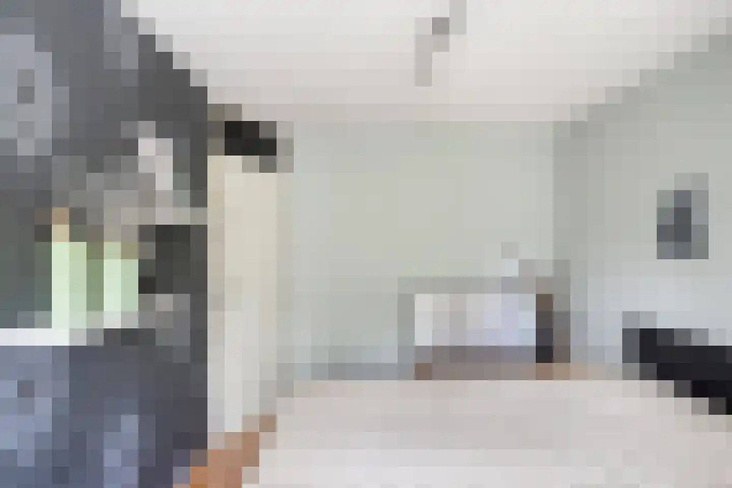 Donkeren Dijk 6 Heeswijk-Dinther thumbnail 23