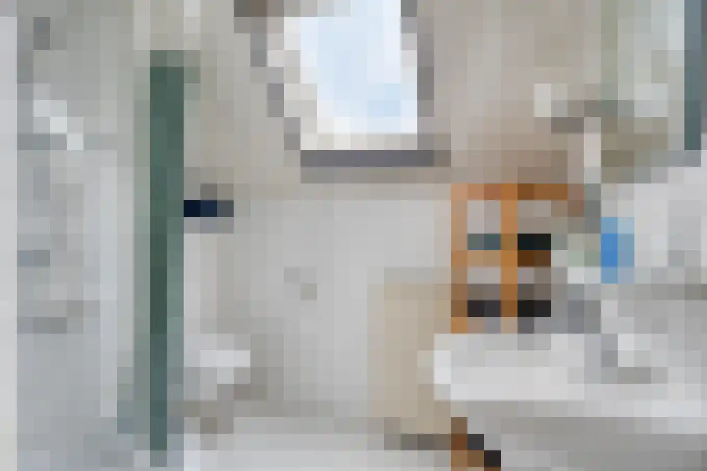 Donkeren Dijk 6 Heeswijk-Dinther thumbnail 24