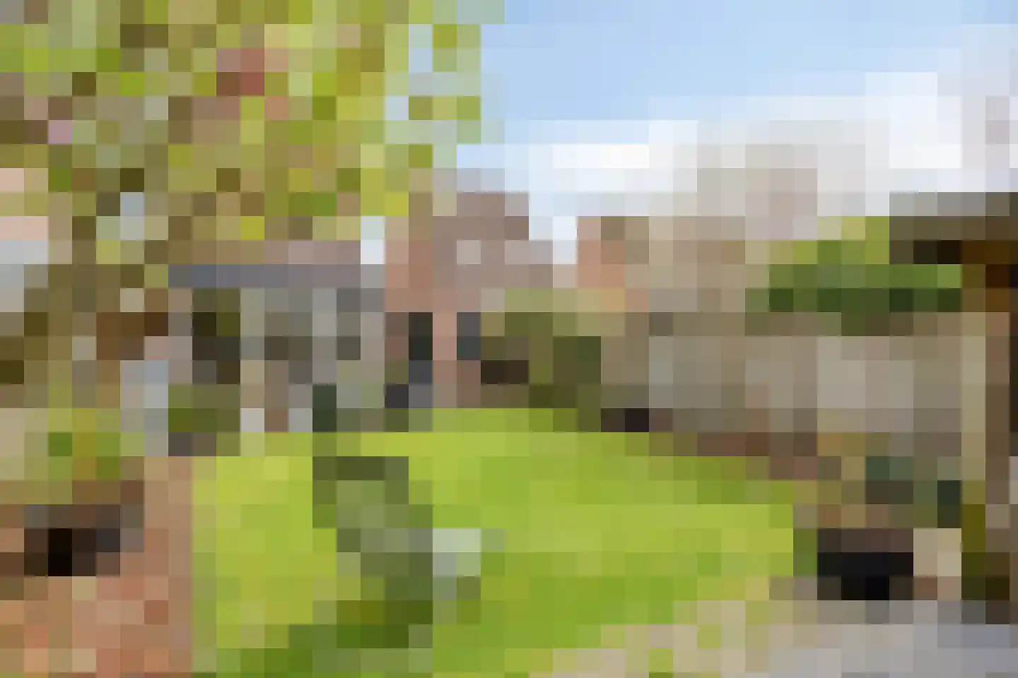 Donkeren Dijk 6 Heeswijk-Dinther thumbnail 34