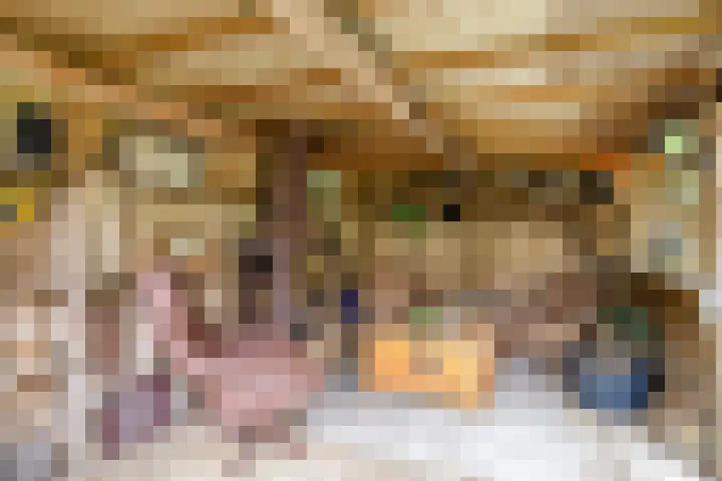 Donkeren Dijk 6 Heeswijk-Dinther thumbnail 38