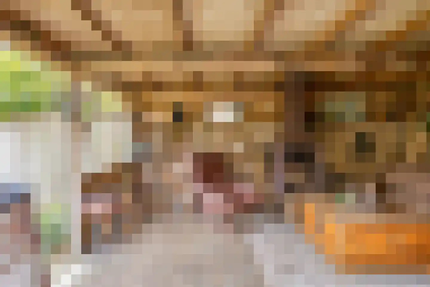Donkeren Dijk 6 Heeswijk-Dinther thumbnail 39