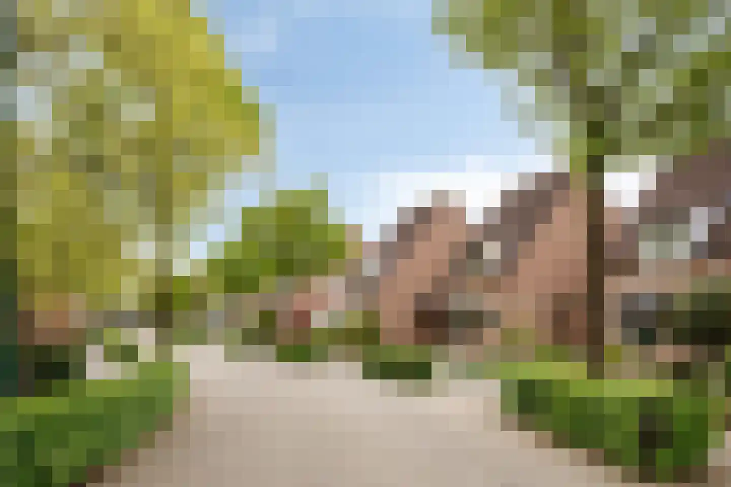 Donkeren Dijk 6 Heeswijk-Dinther thumbnail 41