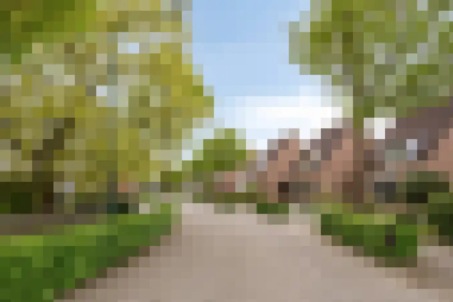 Donkeren Dijk 6 Heeswijk-Dinther thumbnail 43