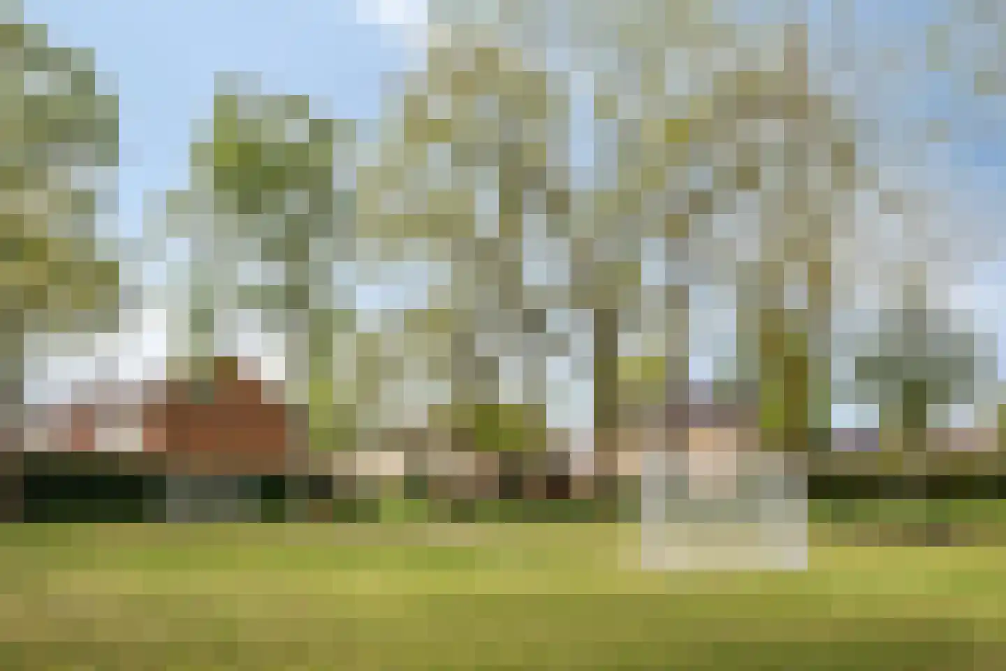 Donkeren Dijk 6 Heeswijk-Dinther thumbnail 44