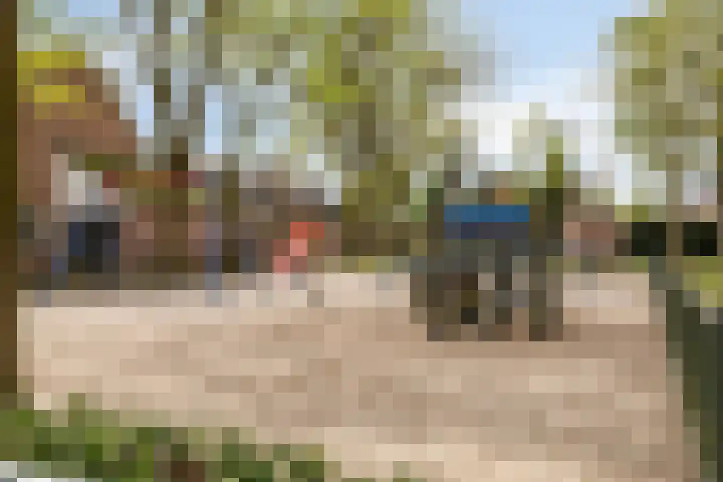 Donkeren Dijk 6 Heeswijk-Dinther thumbnail 45
