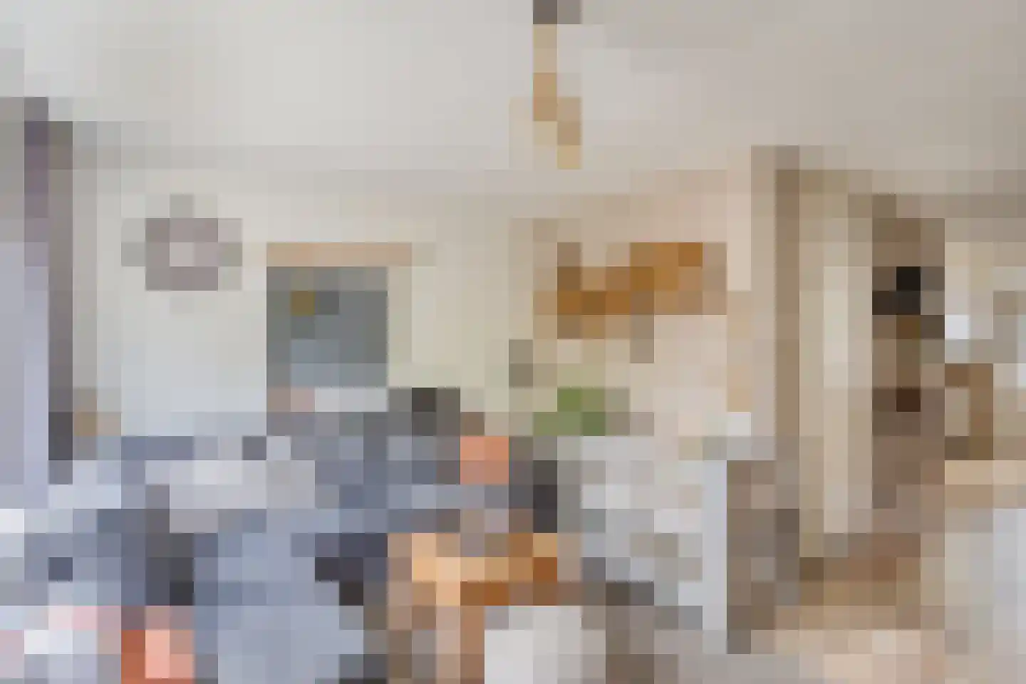 Donkeren Dijk 6 Heeswijk-Dinther thumbnail 6
