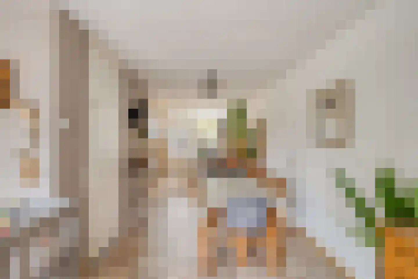 Donkeren Dijk 6 Heeswijk-Dinther thumbnail 7