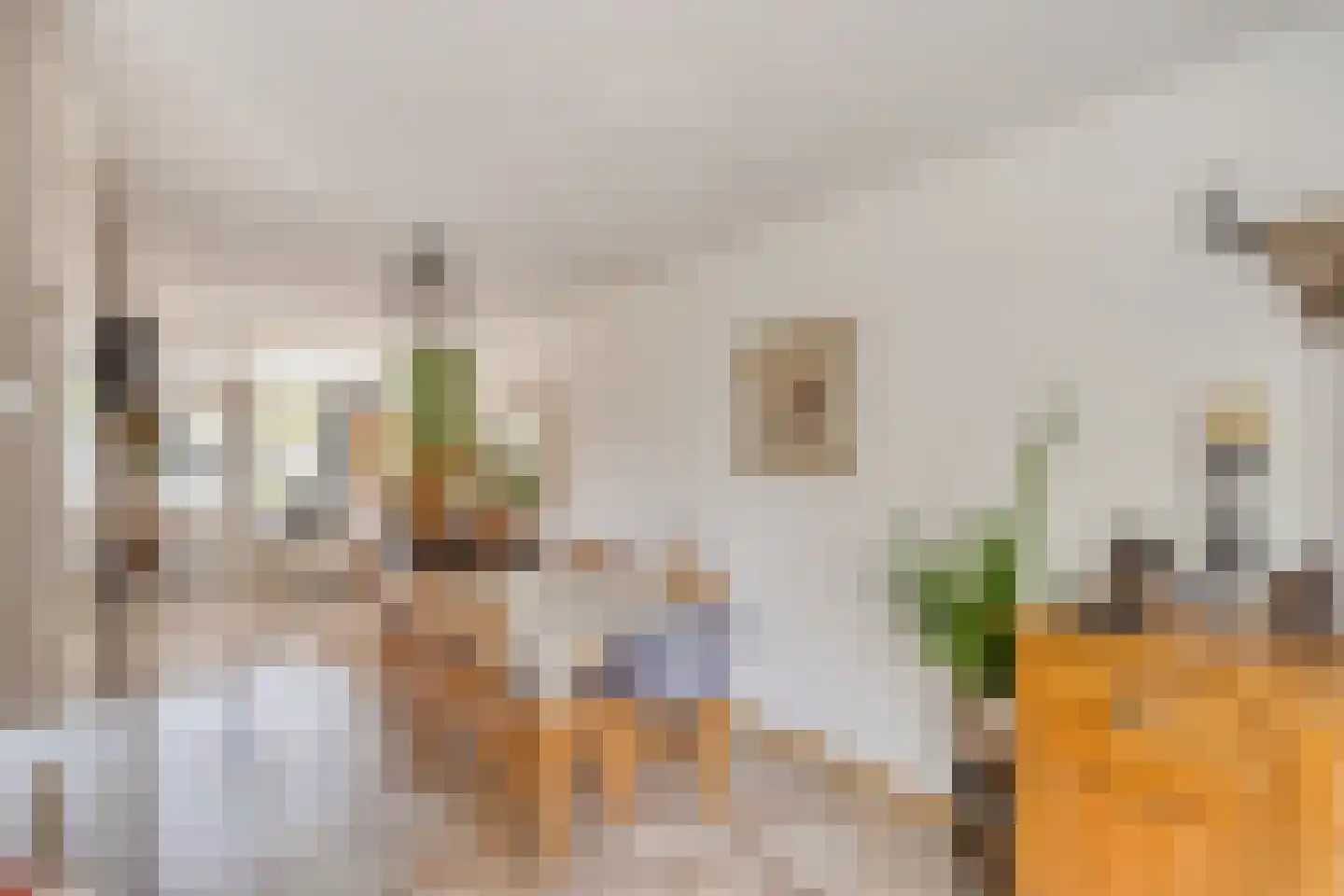 Donkeren Dijk 6 Heeswijk-Dinther thumbnail 8