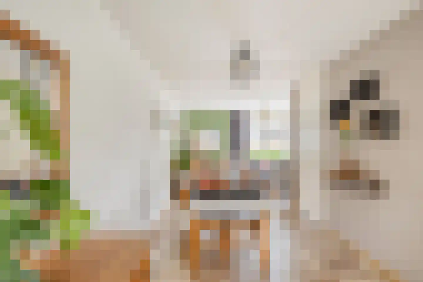 Donkeren Dijk 6 Heeswijk-Dinther thumbnail 9