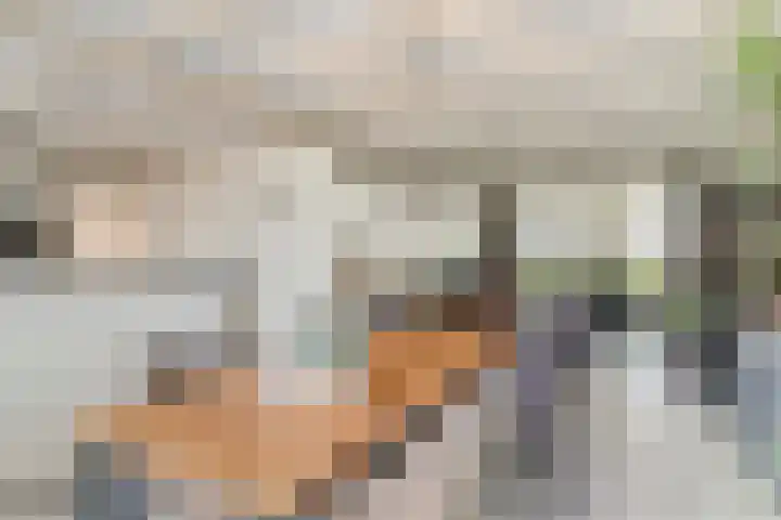 Donkeren Dijk 9 Heeswijk-Dinther thumbnail 10