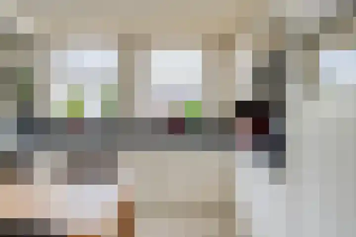 Donkeren Dijk 9 Heeswijk-Dinther thumbnail 12