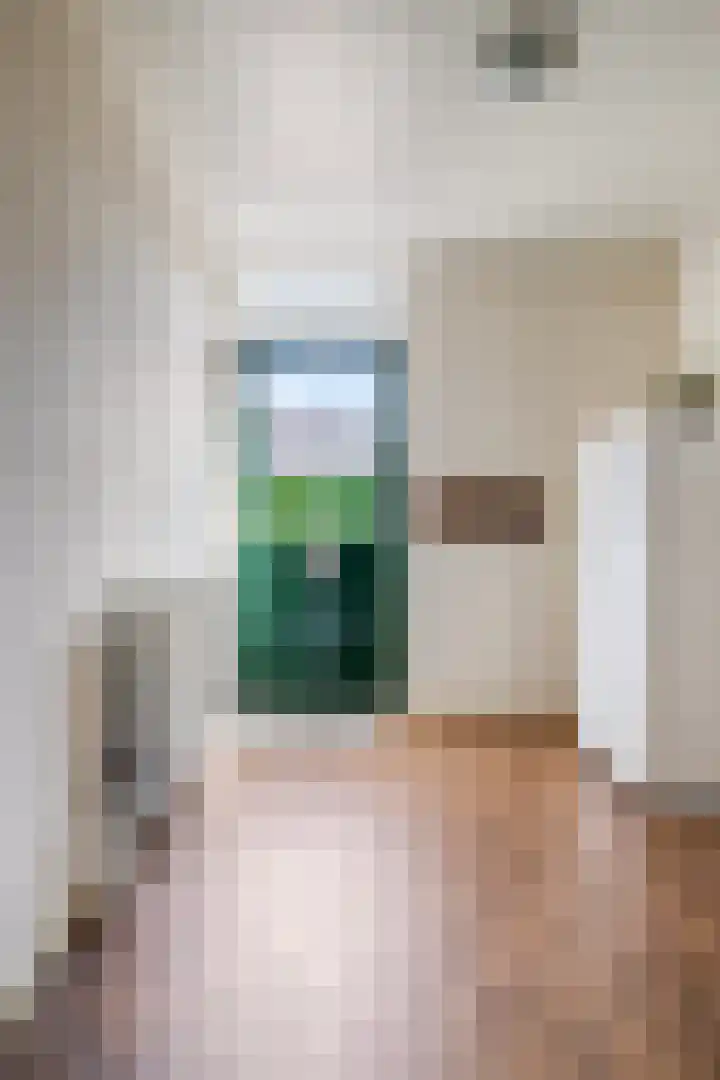 Donkeren Dijk 9 Heeswijk-Dinther thumbnail 15