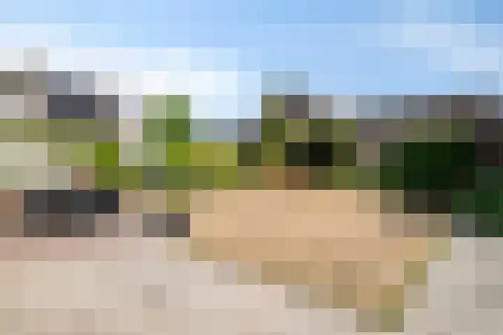 Donkeren Dijk 9 Heeswijk-Dinther foto 2