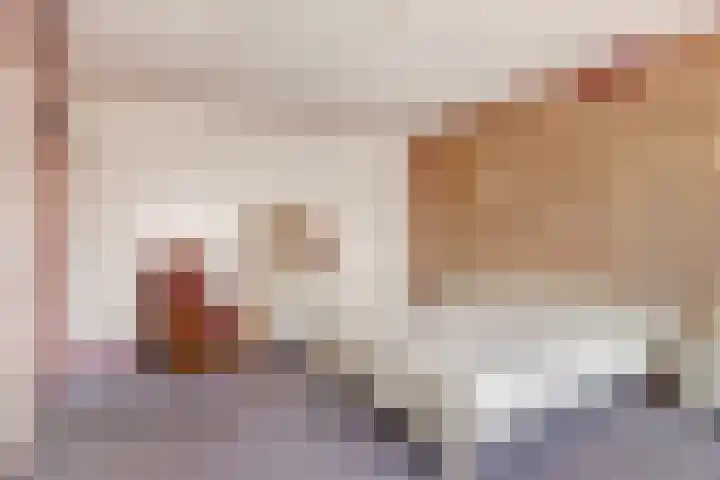 Donkeren Dijk 9 Heeswijk-Dinther thumbnail 20