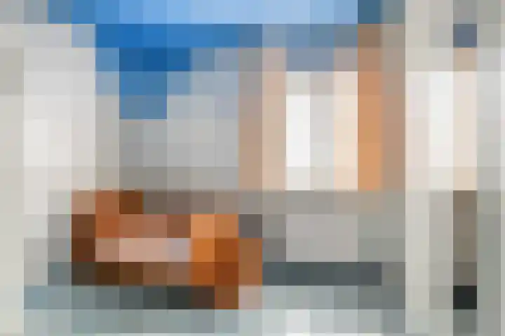 Donkeren Dijk 9 Heeswijk-Dinther thumbnail 22