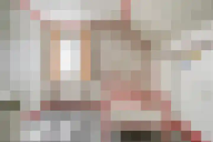 Donkeren Dijk 9 Heeswijk-Dinther thumbnail 26