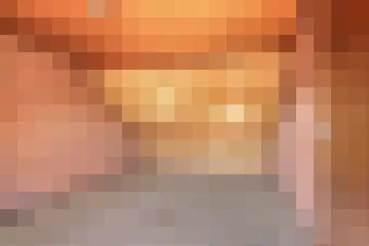 Donkeren Dijk 9 Heeswijk-Dinther thumbnail 33