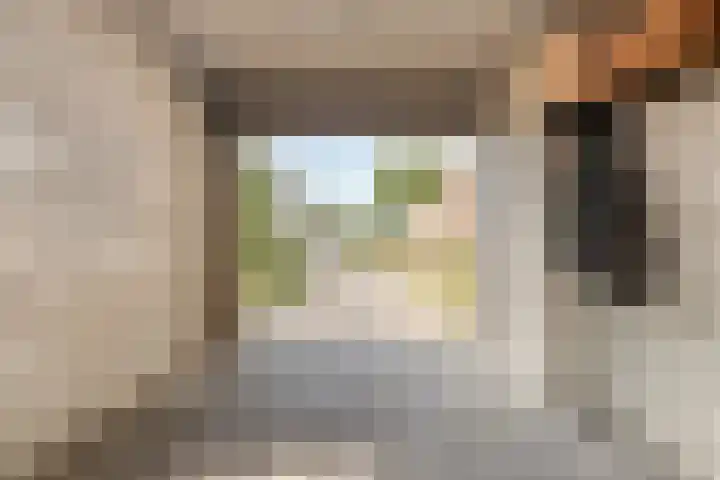 Donkeren Dijk 9 Heeswijk-Dinther thumbnail 34