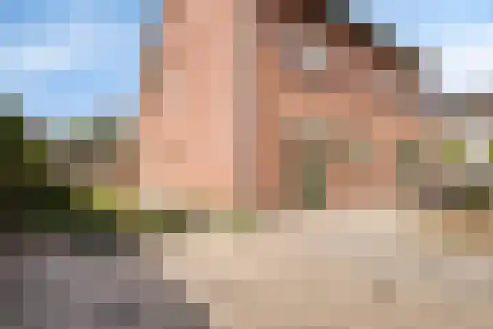 Donkeren Dijk 9 Heeswijk-Dinther thumbnail 36