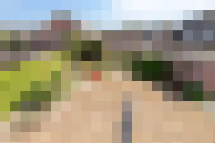 Donkeren Dijk 9 Heeswijk-Dinther thumbnail 38