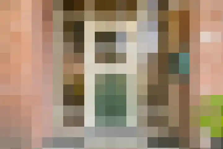 Donkeren Dijk 9 Heeswijk-Dinther thumbnail 41