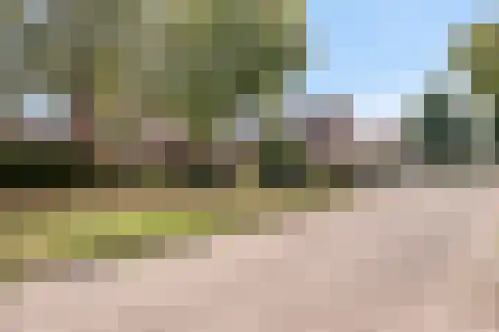 Donkeren Dijk 9 Heeswijk-Dinther thumbnail 43