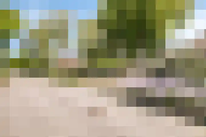 Donkeren Dijk 9 Heeswijk-Dinther thumbnail 44