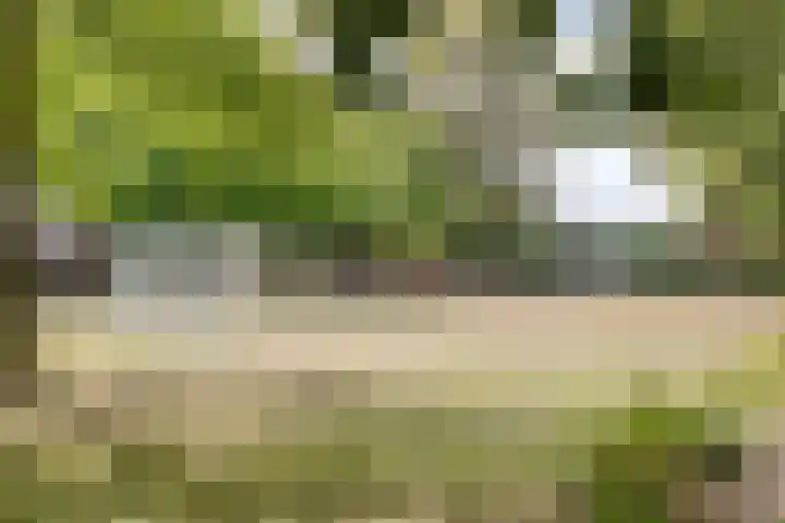 Donkeren Dijk 9 Heeswijk-Dinther thumbnail 45
